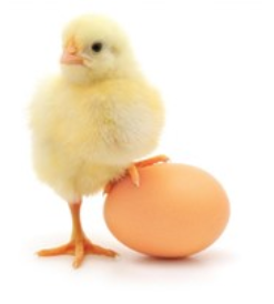 Resto Coq Chez Lorraine